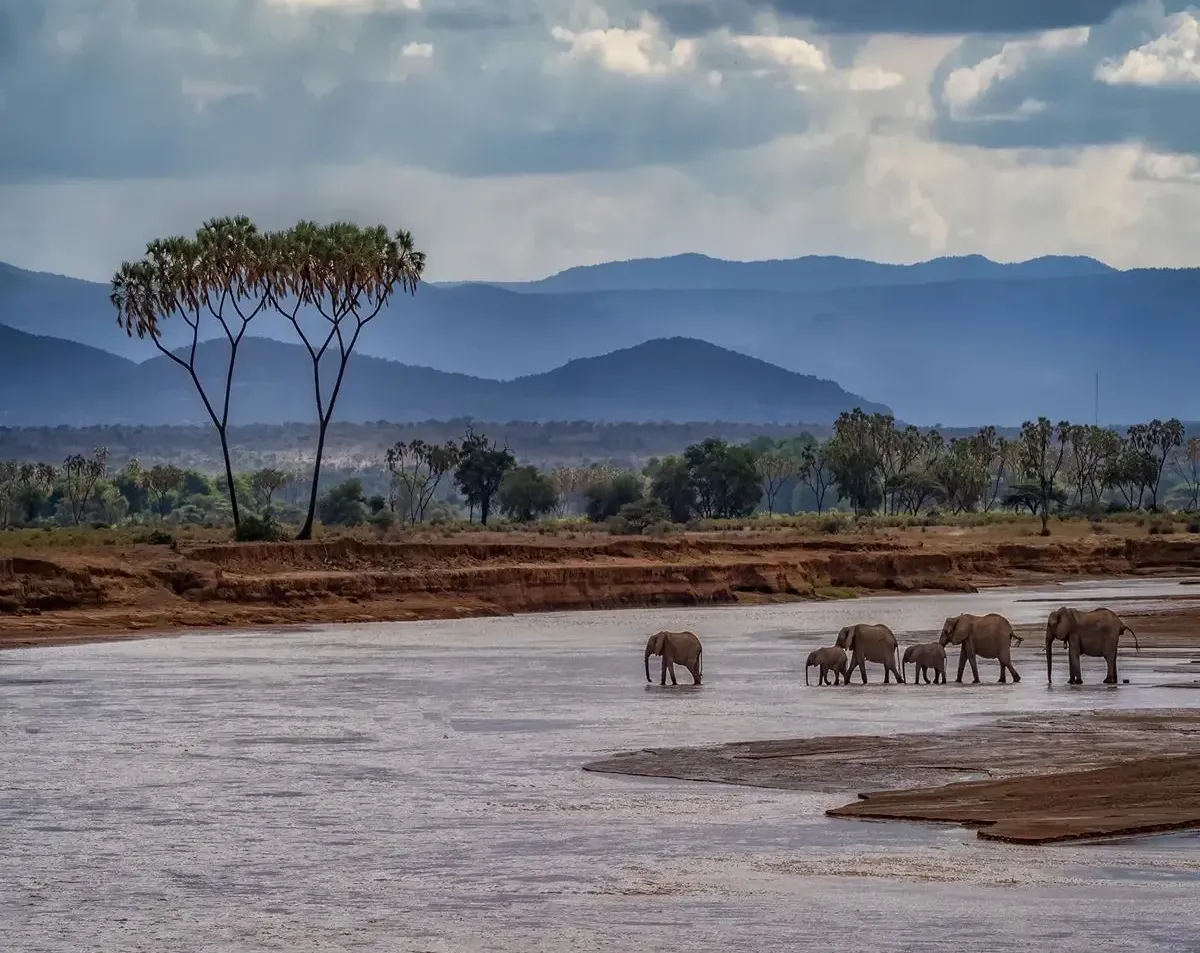 samburu in oct